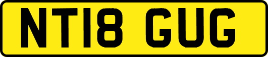 NT18GUG