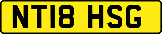 NT18HSG