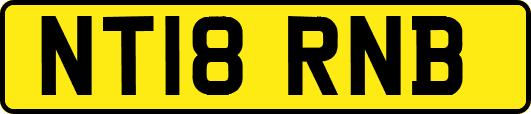 NT18RNB