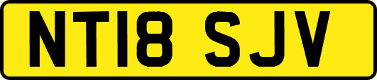 NT18SJV