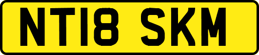 NT18SKM