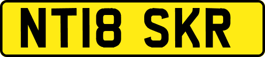 NT18SKR