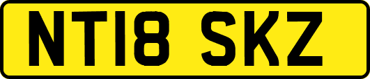 NT18SKZ