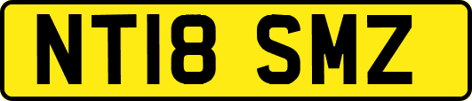 NT18SMZ