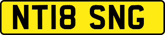 NT18SNG