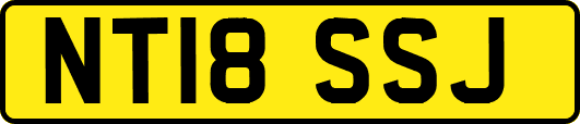 NT18SSJ