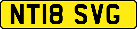 NT18SVG