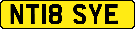 NT18SYE