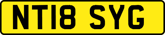 NT18SYG