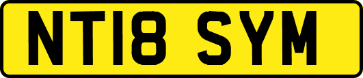 NT18SYM