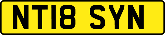 NT18SYN