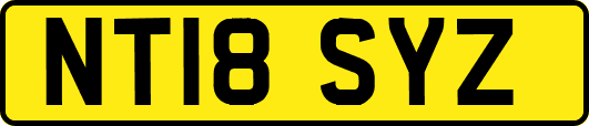 NT18SYZ