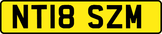 NT18SZM