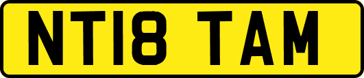 NT18TAM