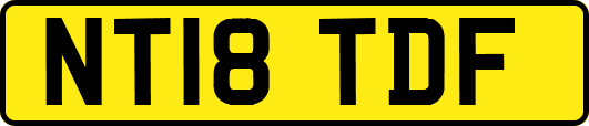NT18TDF