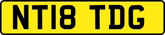NT18TDG