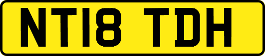 NT18TDH