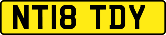 NT18TDY