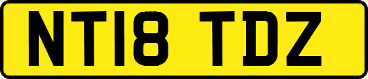 NT18TDZ