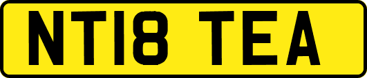NT18TEA