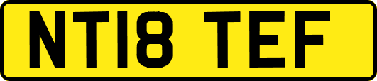 NT18TEF