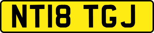 NT18TGJ
