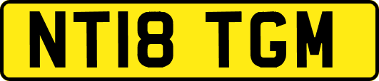 NT18TGM