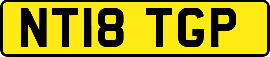 NT18TGP