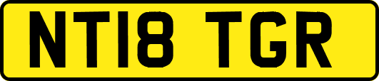 NT18TGR