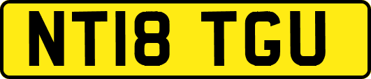 NT18TGU