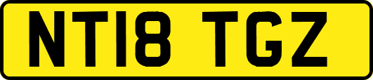 NT18TGZ