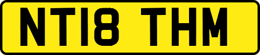 NT18THM