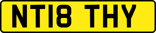 NT18THY