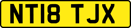 NT18TJX