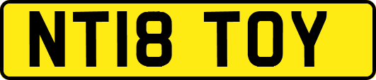 NT18TOY