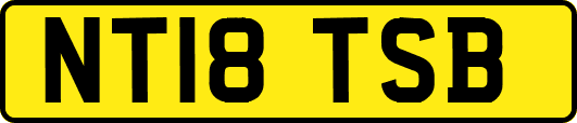 NT18TSB