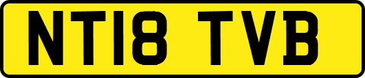 NT18TVB