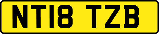 NT18TZB