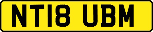 NT18UBM