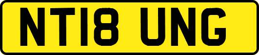 NT18UNG
