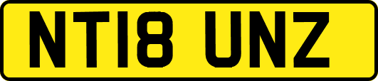 NT18UNZ
