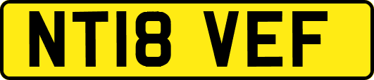 NT18VEF