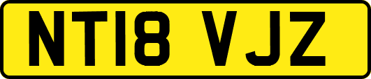 NT18VJZ