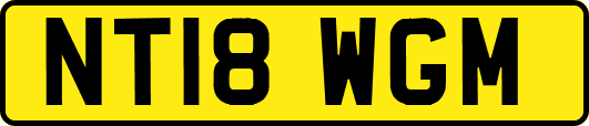 NT18WGM