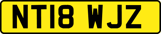 NT18WJZ