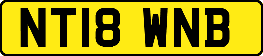 NT18WNB