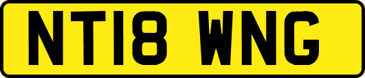 NT18WNG