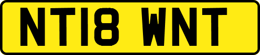 NT18WNT