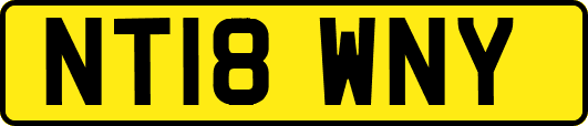NT18WNY