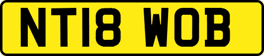 NT18WOB